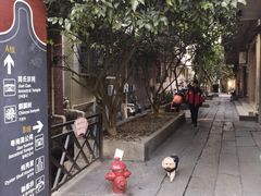 -小洲村