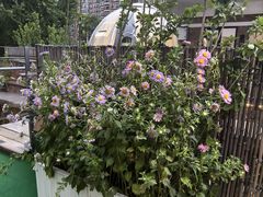 -羊门客在·烤盐池滩羊·川菜