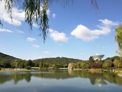 -上海佘山世茂艾美酒店