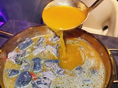 -Darling Queen·Mini·Live·House