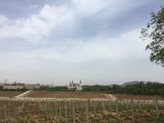 -北京张裕爱斐堡酒庄
