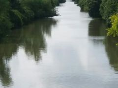 -大湾区中央湿地公园-十九涌