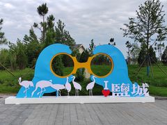 -盐城丹顶鹤湿地生态旅游区