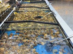 -川骄海鲜自助(河东店)