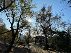 -广州市石门国家森林公园