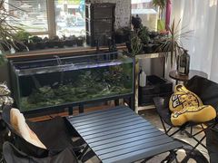 -MONANA蛋糕研究所