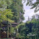 青城山脚下柴火鸡 爬完山直接来这干饭 