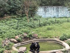 -无锡动物园·太湖欢乐园