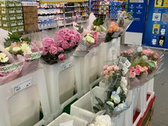 -麦德龙(浦东店)