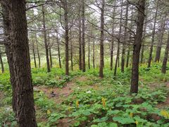 -白草畔自然风景区