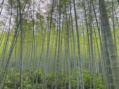 -黄公望隐居地