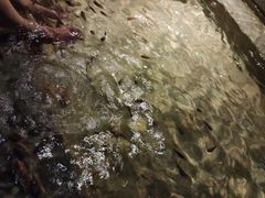 -明谷行馆·温泉