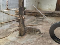 -J Create城市露营咖啡·简餐·宠物(上海动物园店)