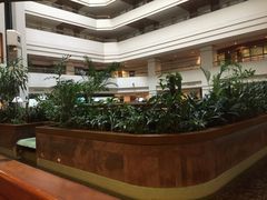 -西安阿房宫维景国际大酒店