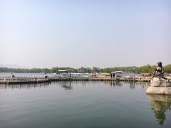 -石家庄市植物园