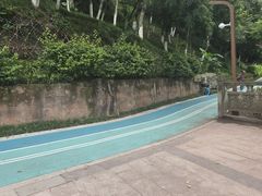 -重庆彩云湖湿地公园