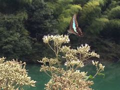 -会稽山峡洞漂流-上青古道