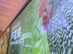 -俭寨大盘鸡·手抓肉·烧烤新疆菜(乌苏路店)