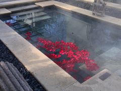 -苏州湾王焰温泉度假酒店