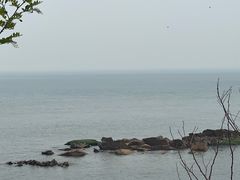 -燕儿岛山公园