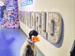 -重庆欢乐海底世界