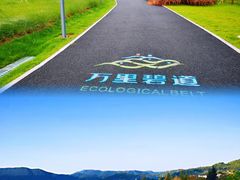 -杨梅坑