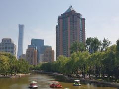 -团结湖公园