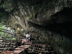 -川西竹海景区