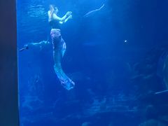 -太平洋海底世界