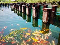 -宁波杭州湾国家湿地公园