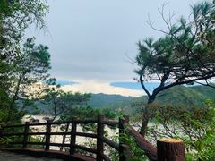 -羚羊峡古栈道森林公园