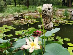 -国家植物园南园