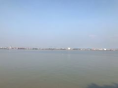 -大湾区中央湿地公园
