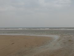 -日照海滨国家森林公园