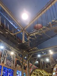 -卡通尼·Safari非洲探索乐园·生日会(金桥国际商业广场店)