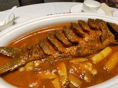 -阿五黄河大鲤鱼(海尚店)