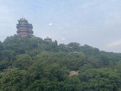 -七欣天香辣蟹火锅(南京建宁路大观天地店)