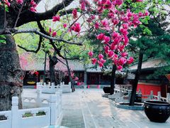 -潭柘寺景区