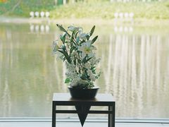 -水之教会
