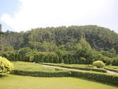 -南沙蒲洲花园