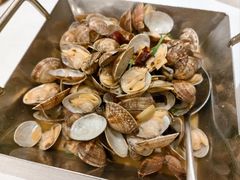 辣炒红岛花蛤-开海·红岛海鲜虾水饺(石老人店)