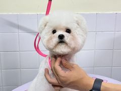 -Oh My Dog宠物沙龙(伊珊娜皮毛护理店)