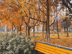 -长安大学(北校区)