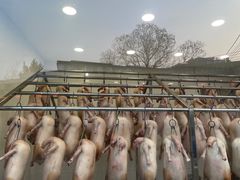 明炉烧鹅-粥旺庄(芳村店)