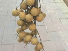 -盖邑扁食店