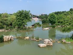 -牛首山文化旅游区