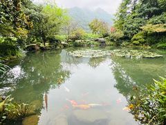 -中国茶叶博物馆(双峰馆区)