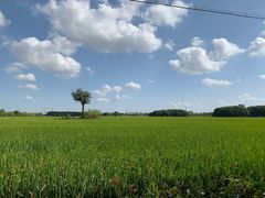 -嘉北郊野公园