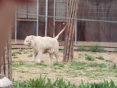 -秦皇岛野生动物园