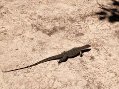 -东姑阿都拉曼海洋公园